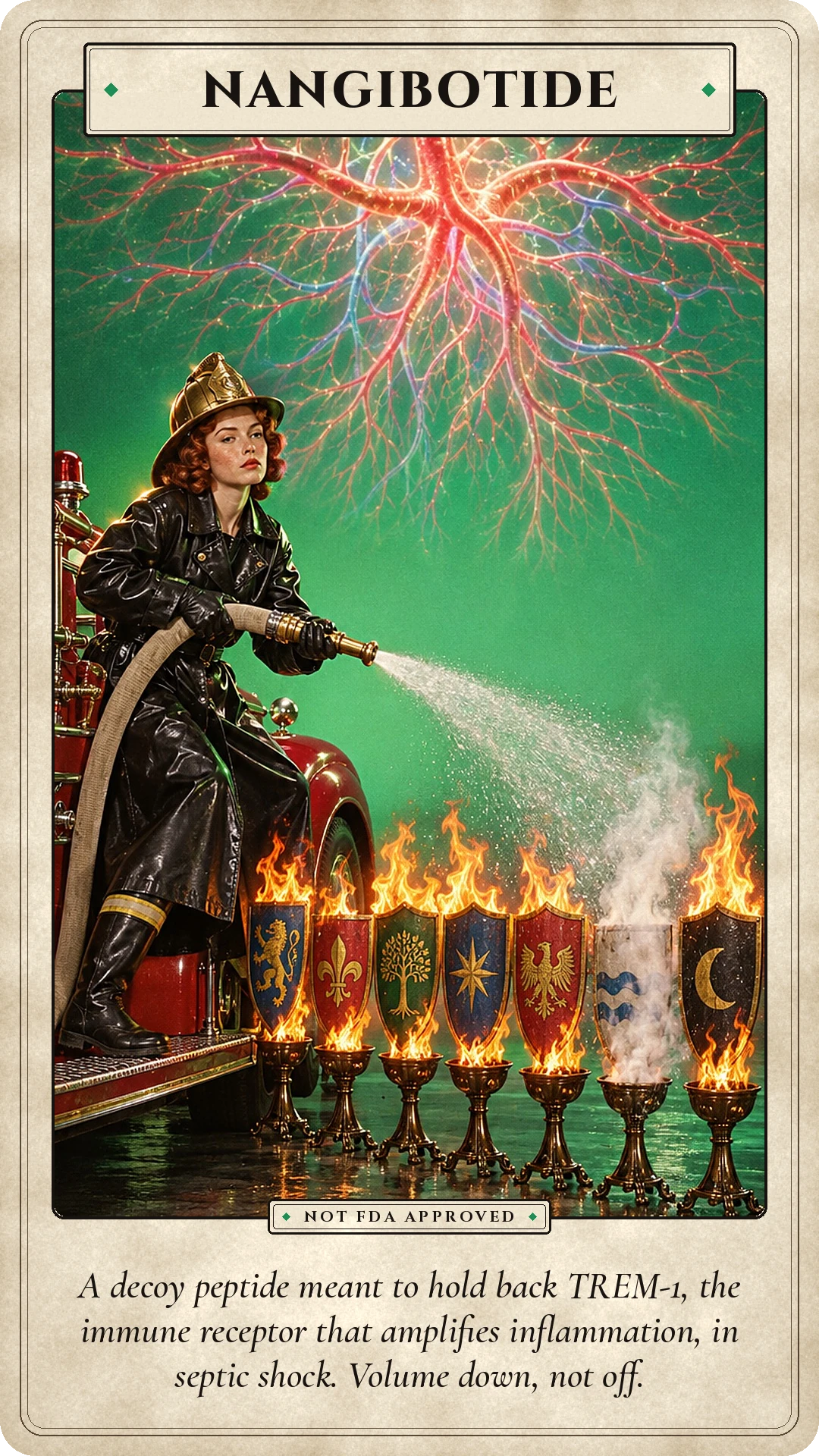 Nangibotide: A decoy peptide meant to hold back TREM-1, the immune receptor that amplifies inflammation, in septic shock. Volume down, not off.
